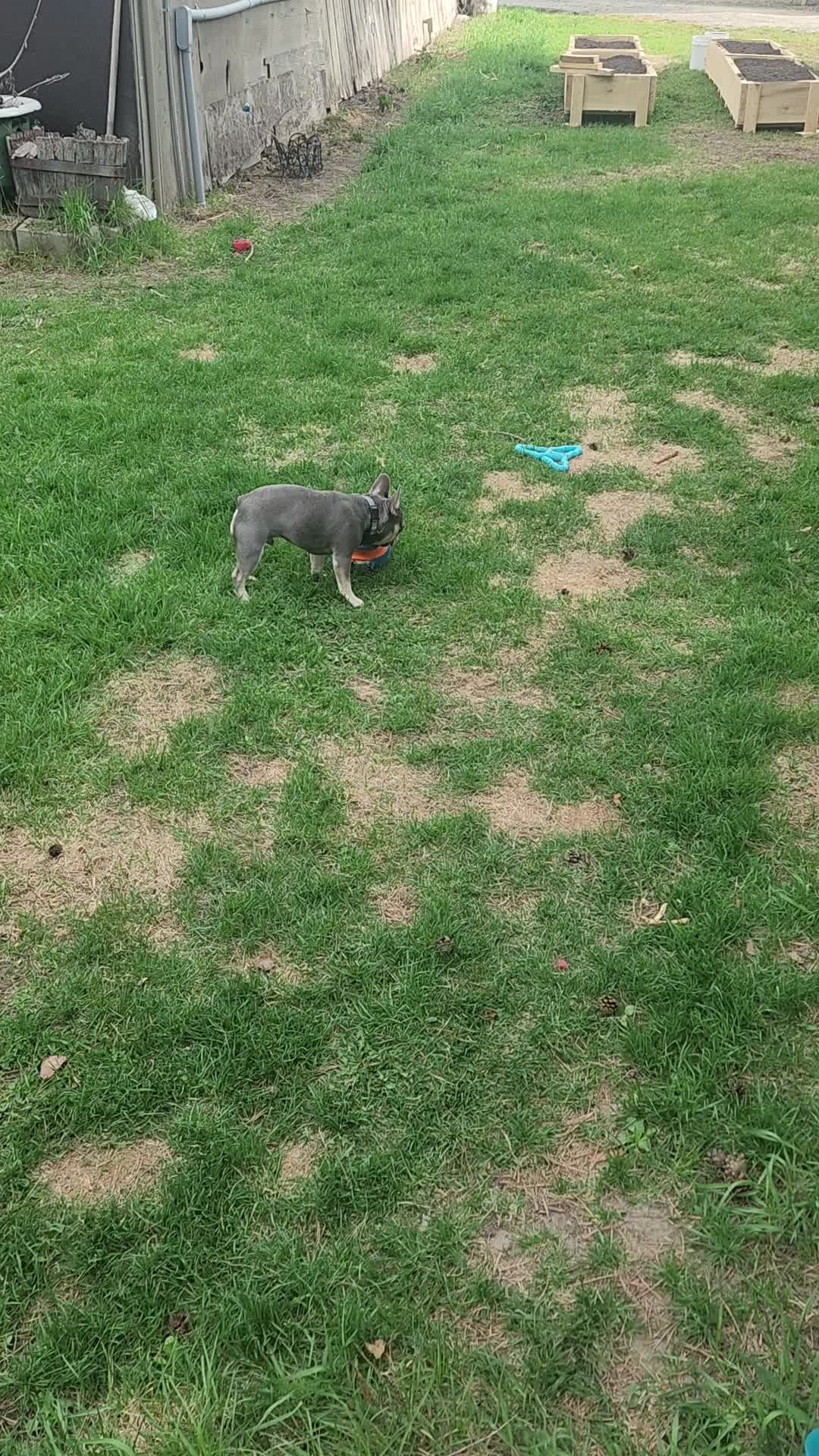 @AdventuresofMumford