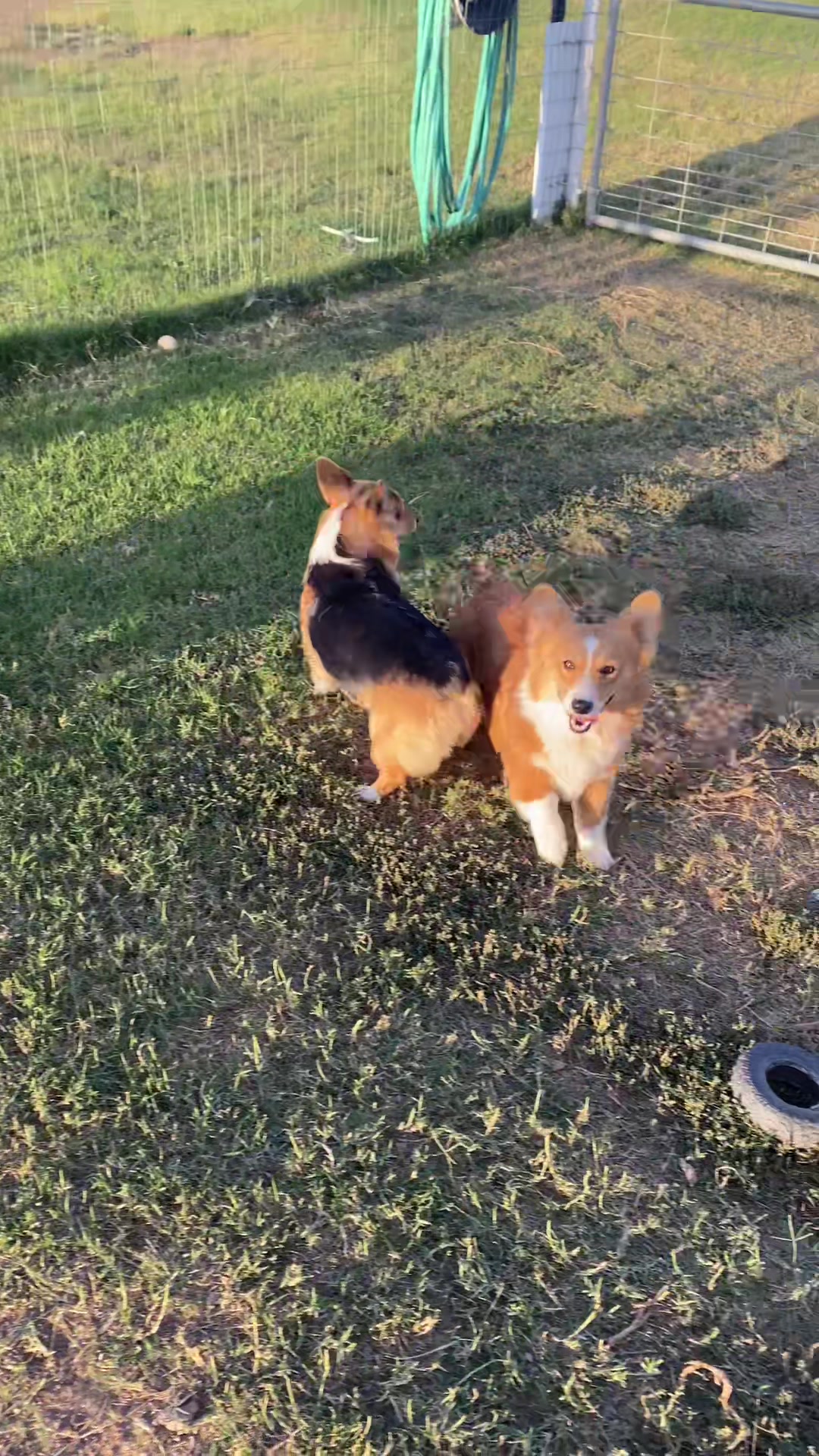 @Fay_River_Farm