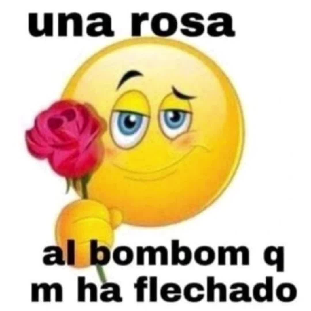 @milanesa