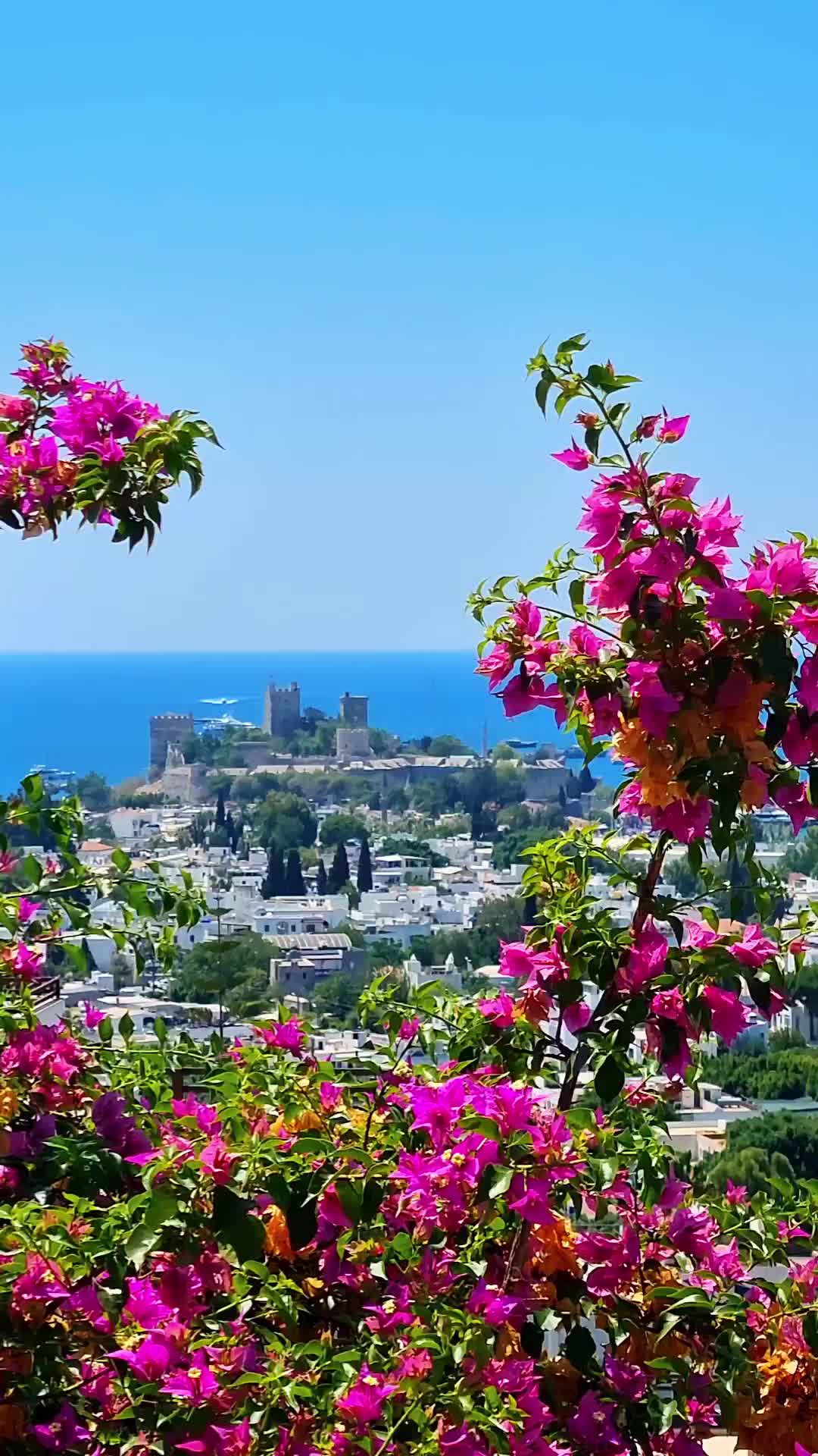 @Bodrum Mekan Rehberi