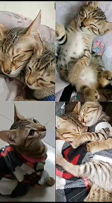 @MD.BABU