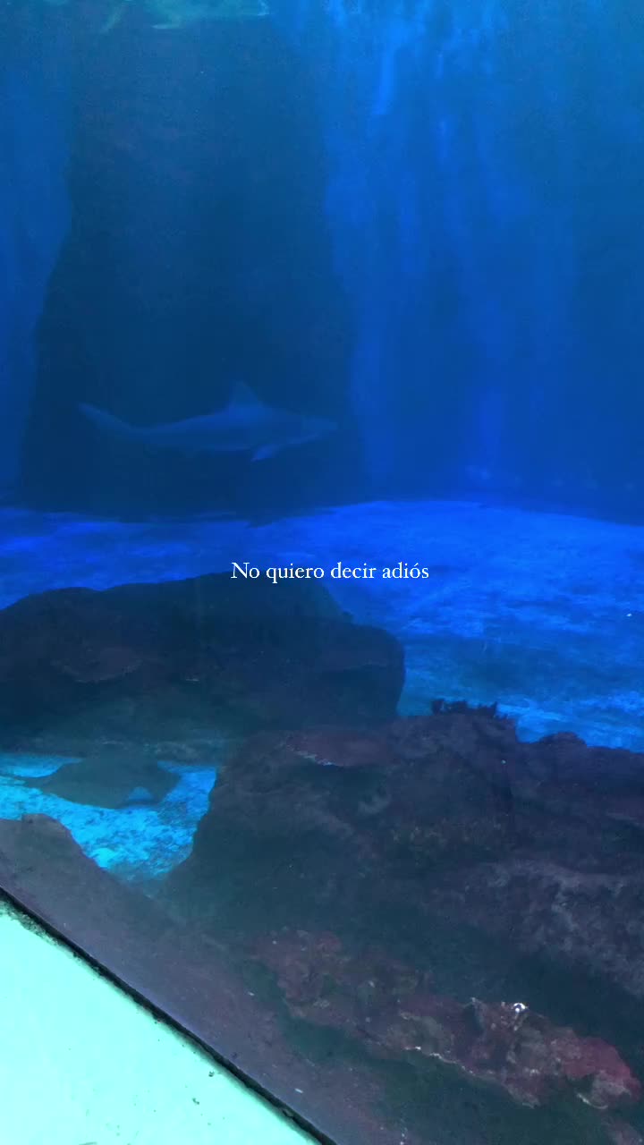 @🫀