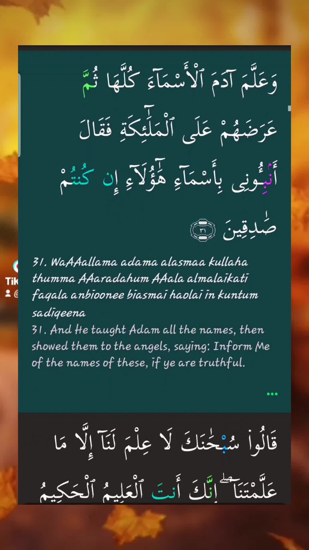 @Dailyqurandeen