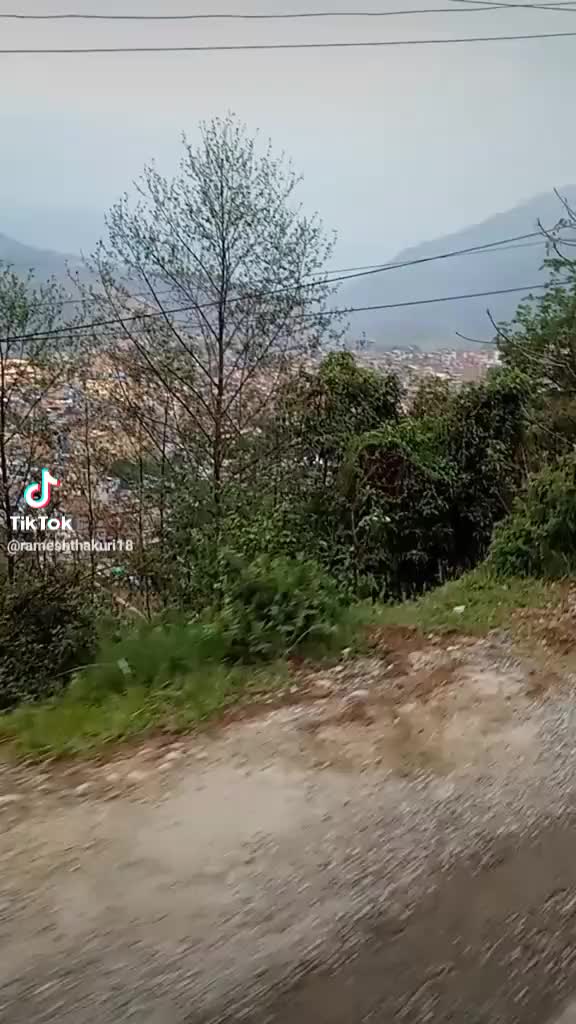 @robinsunar285