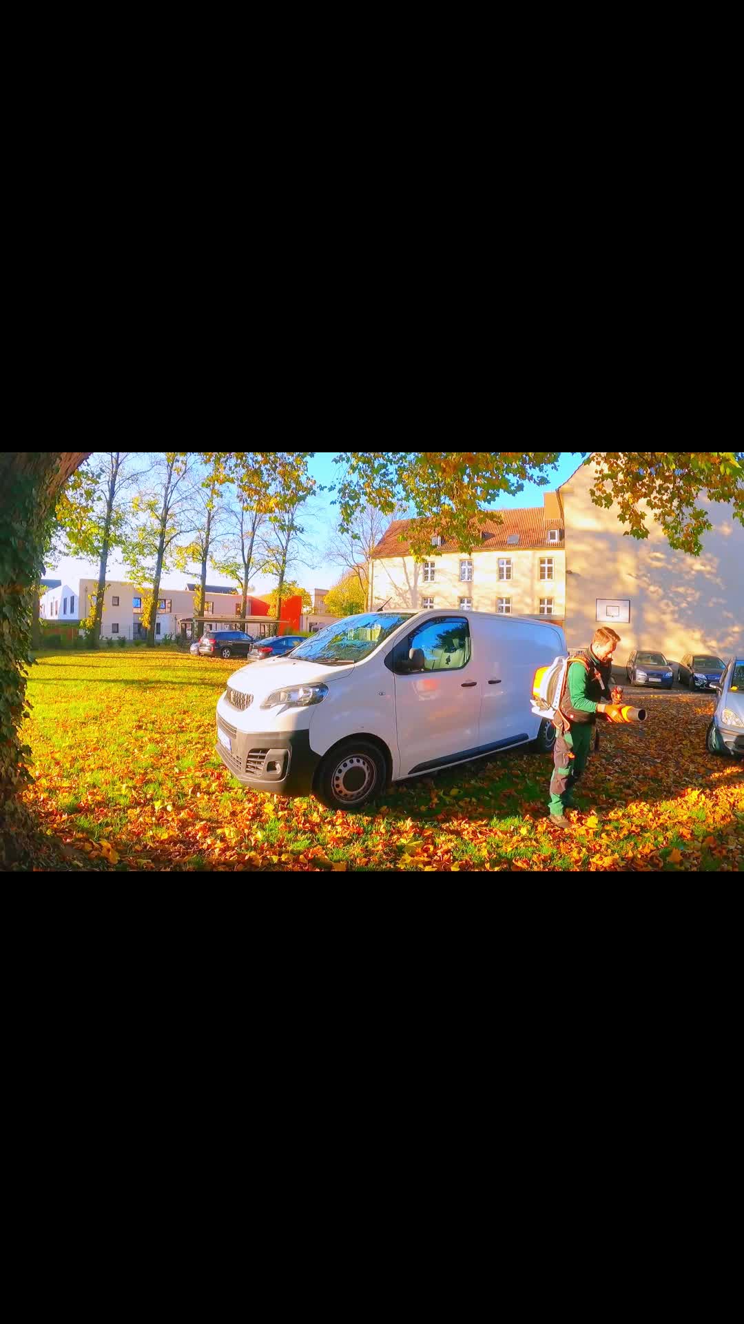 @treeplant_gardening
