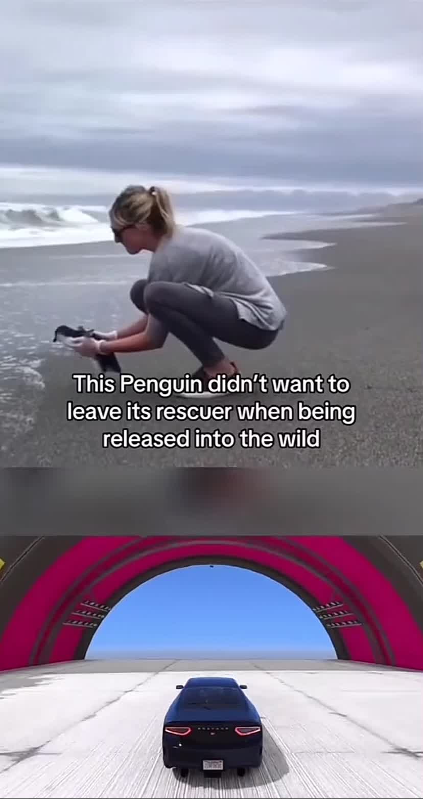 @dkvkfkdkvkfk