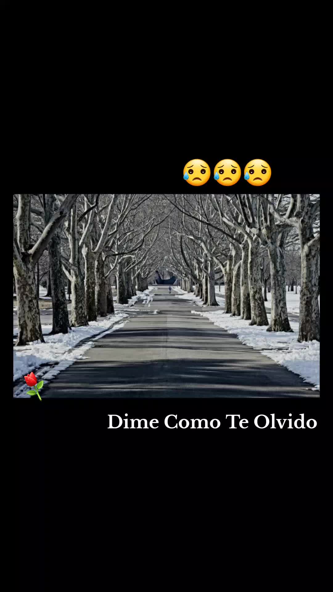 @Danyyauqui.593