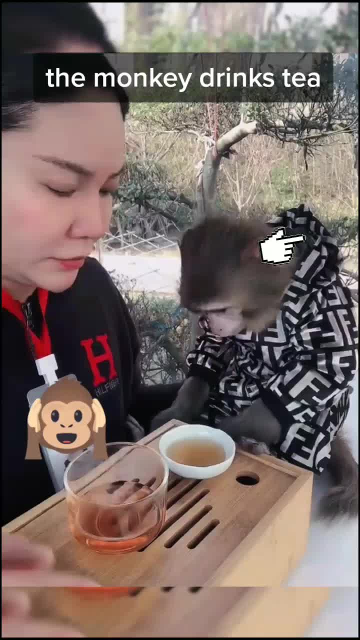 @petlove