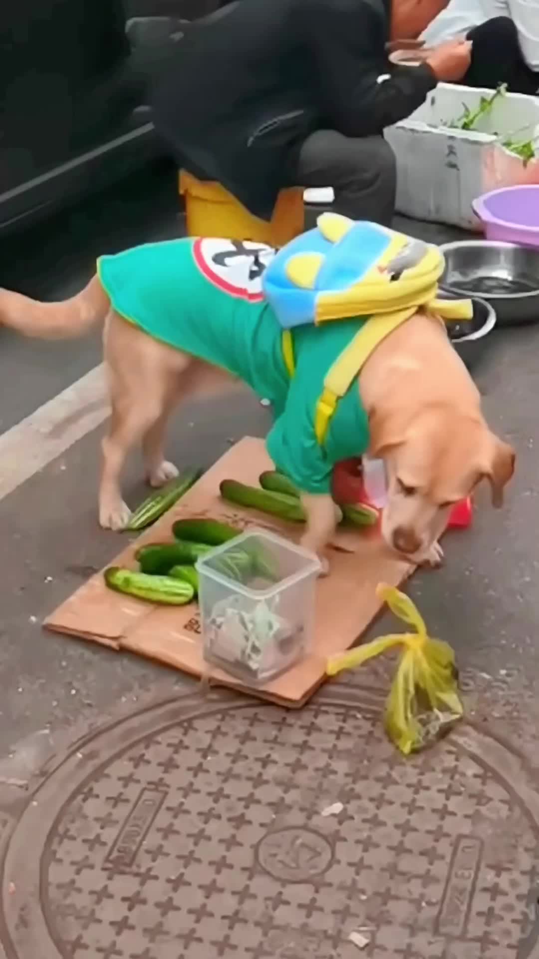 @Fier8