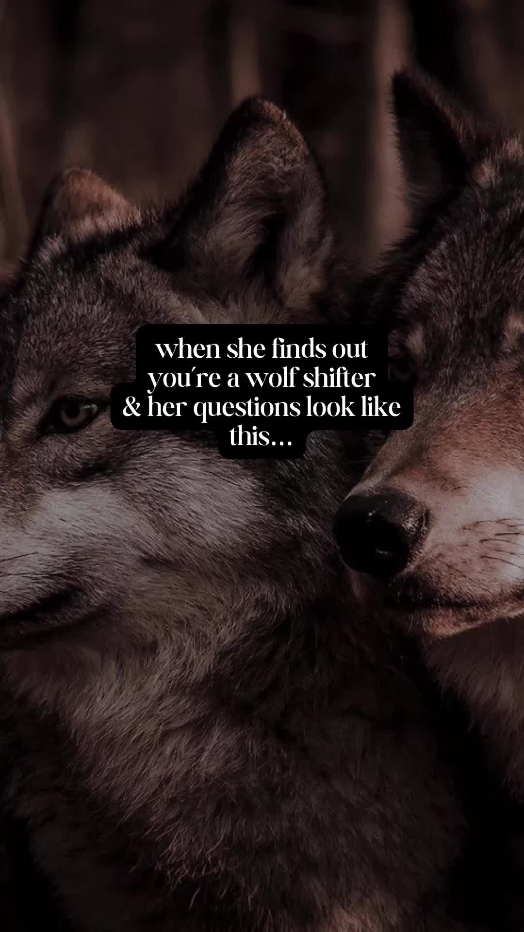 @BookDragon88