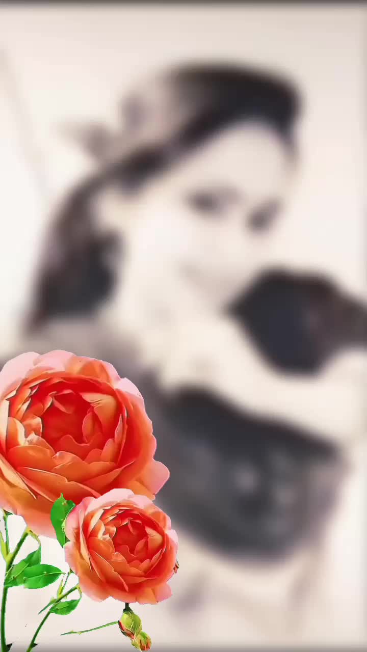 @అశ్విని ❤️🌹❤️