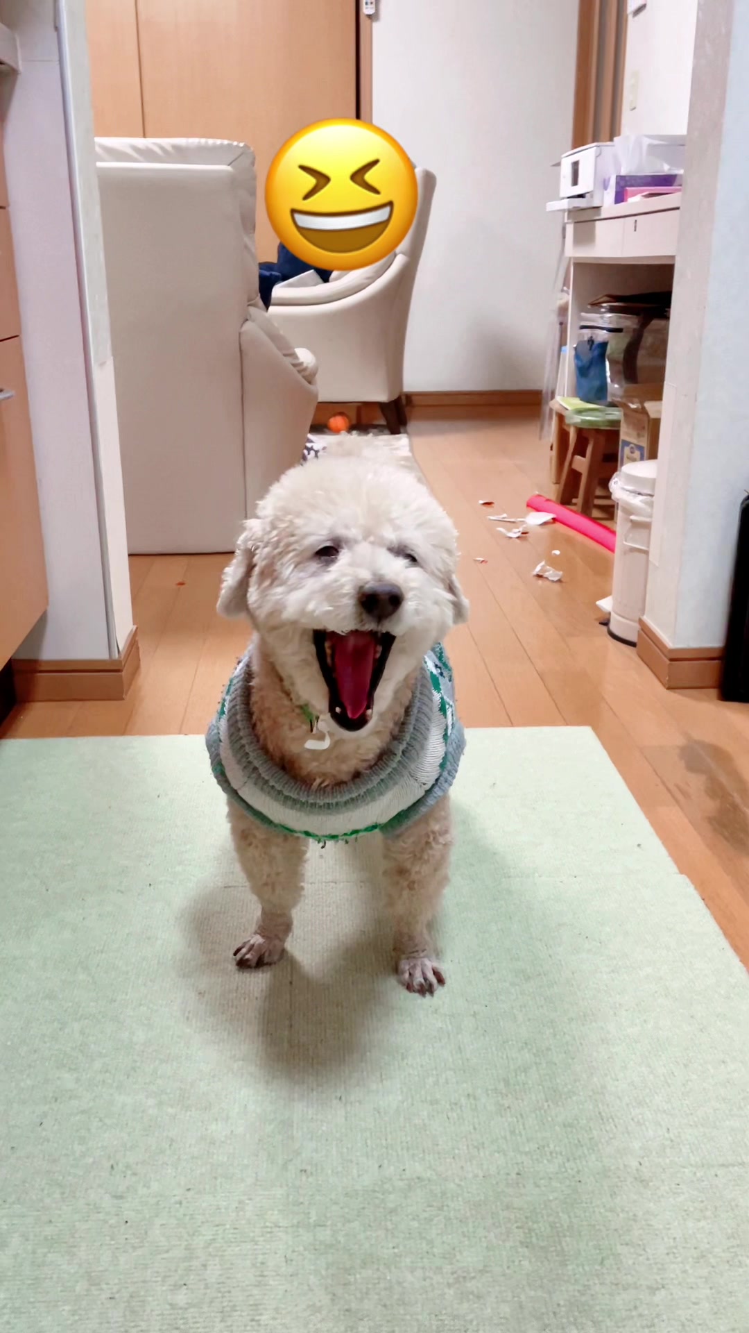 @きなこ