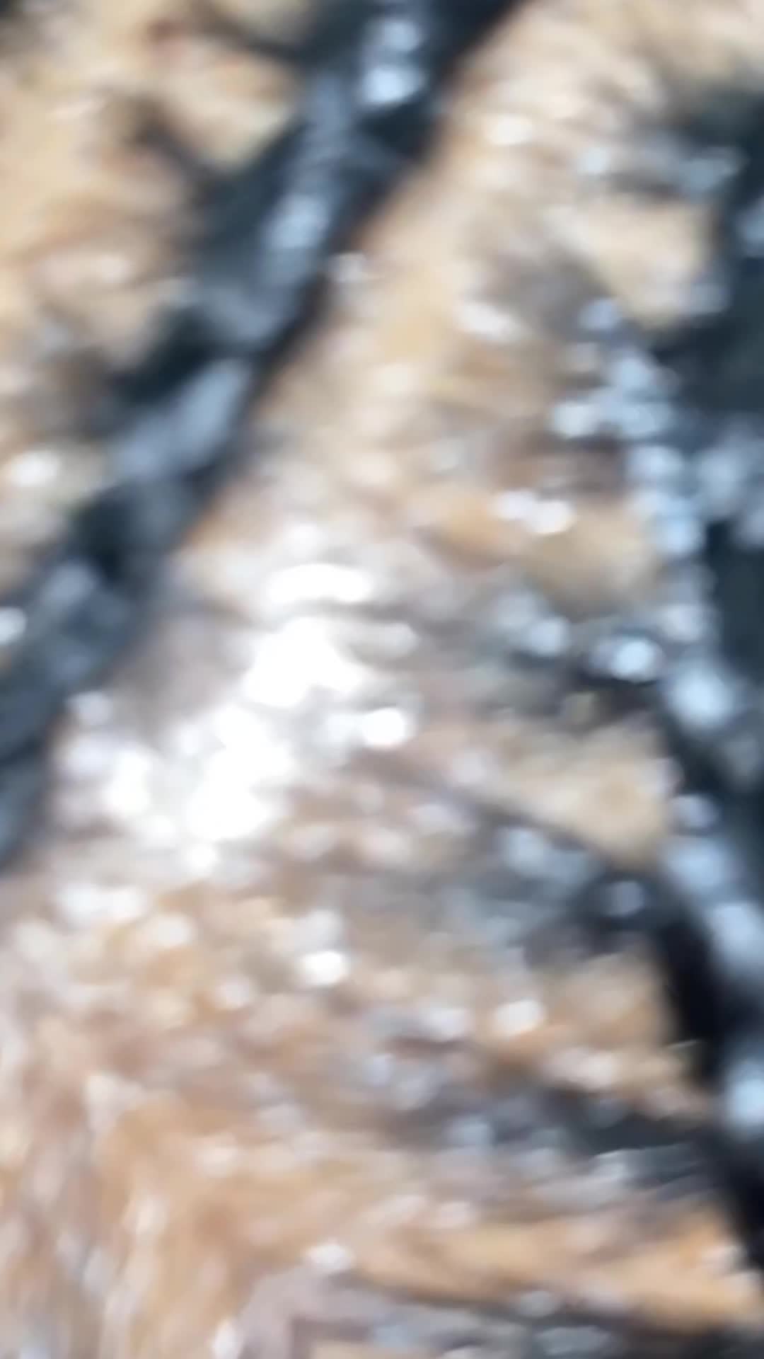 @HAIRbyEss