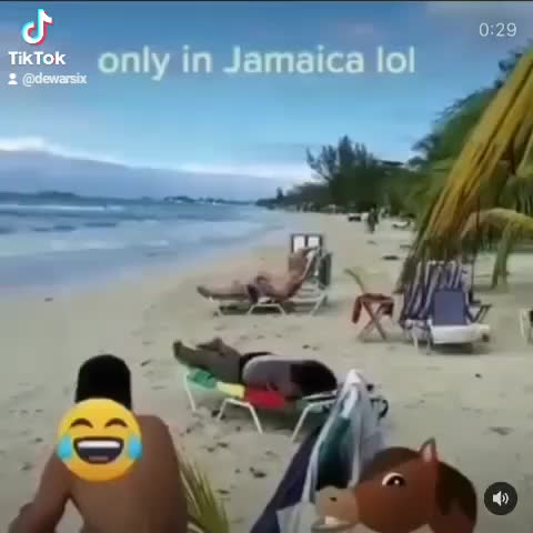 @dewarsix