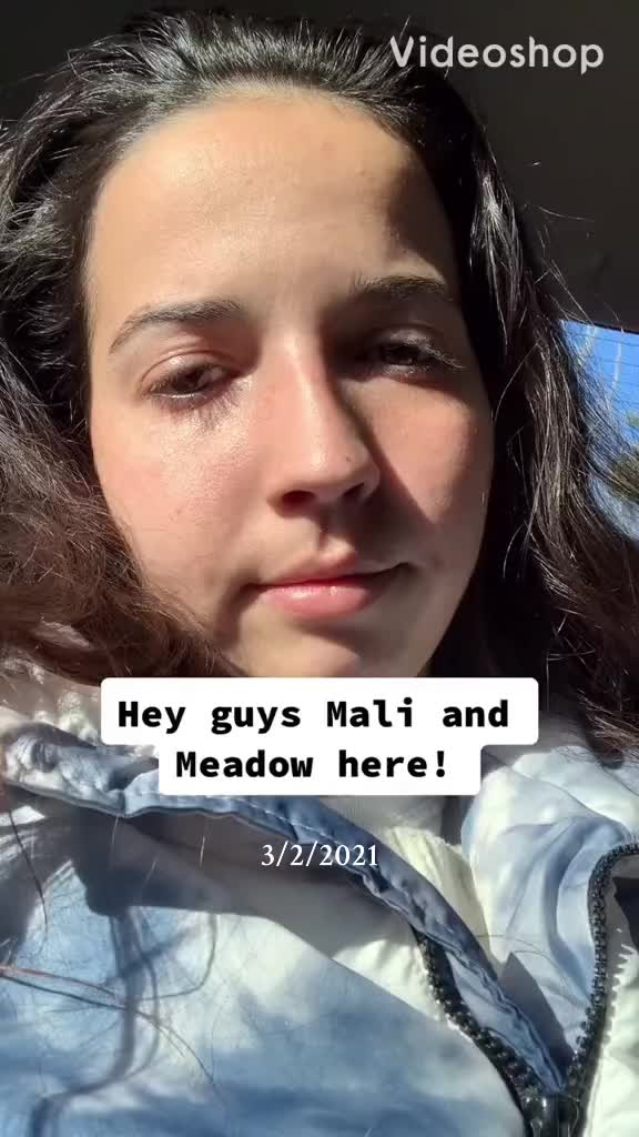 @Mali, Meadow, + Nemo 🥰❤️🥰