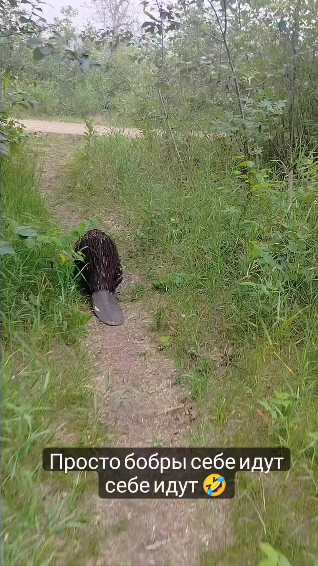 @Мона