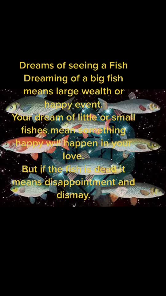 @dreamcatcher