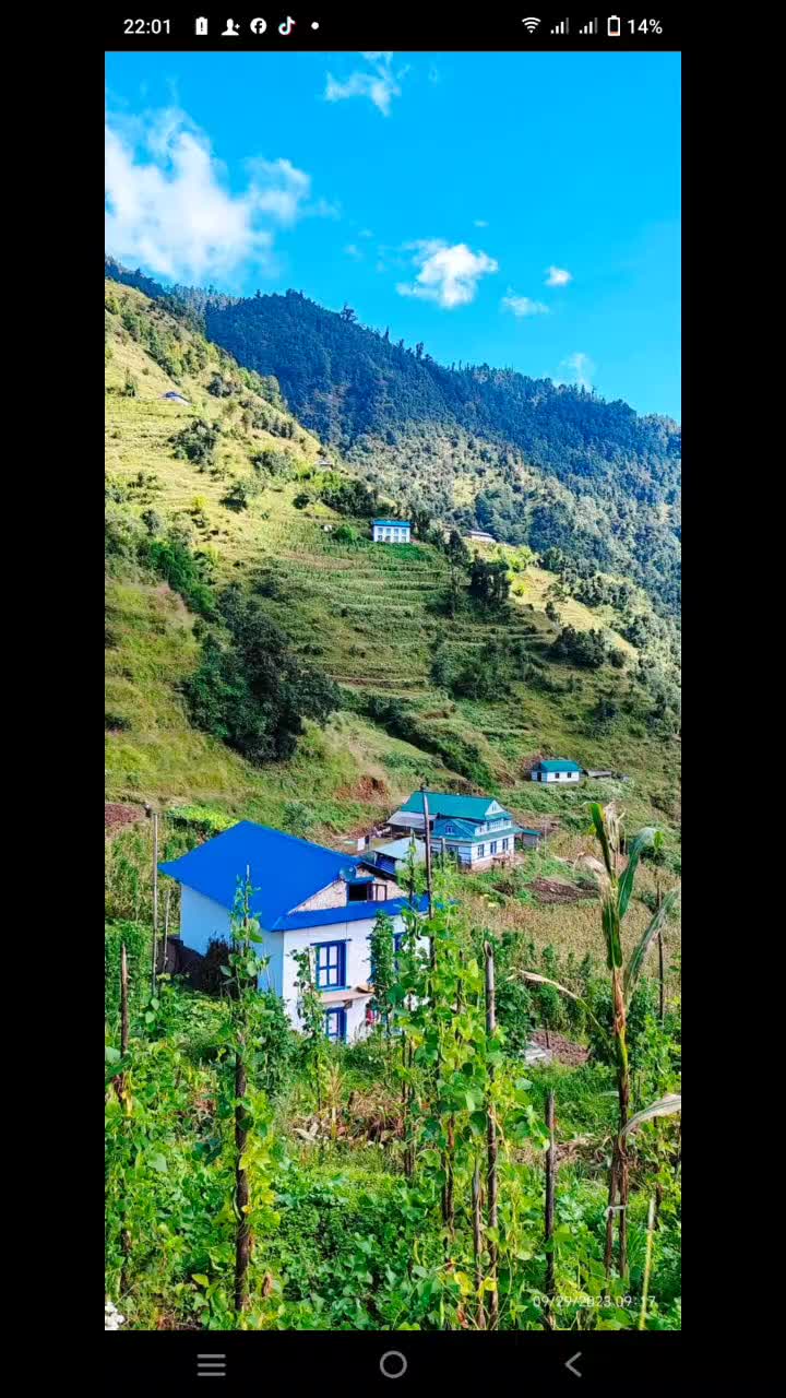 @Pema R sherwa