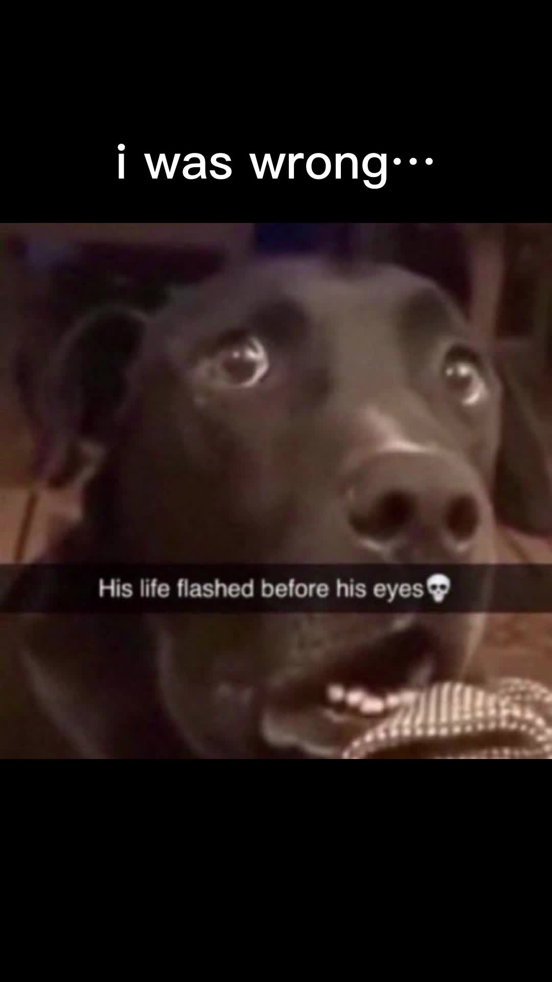 @user82515942350