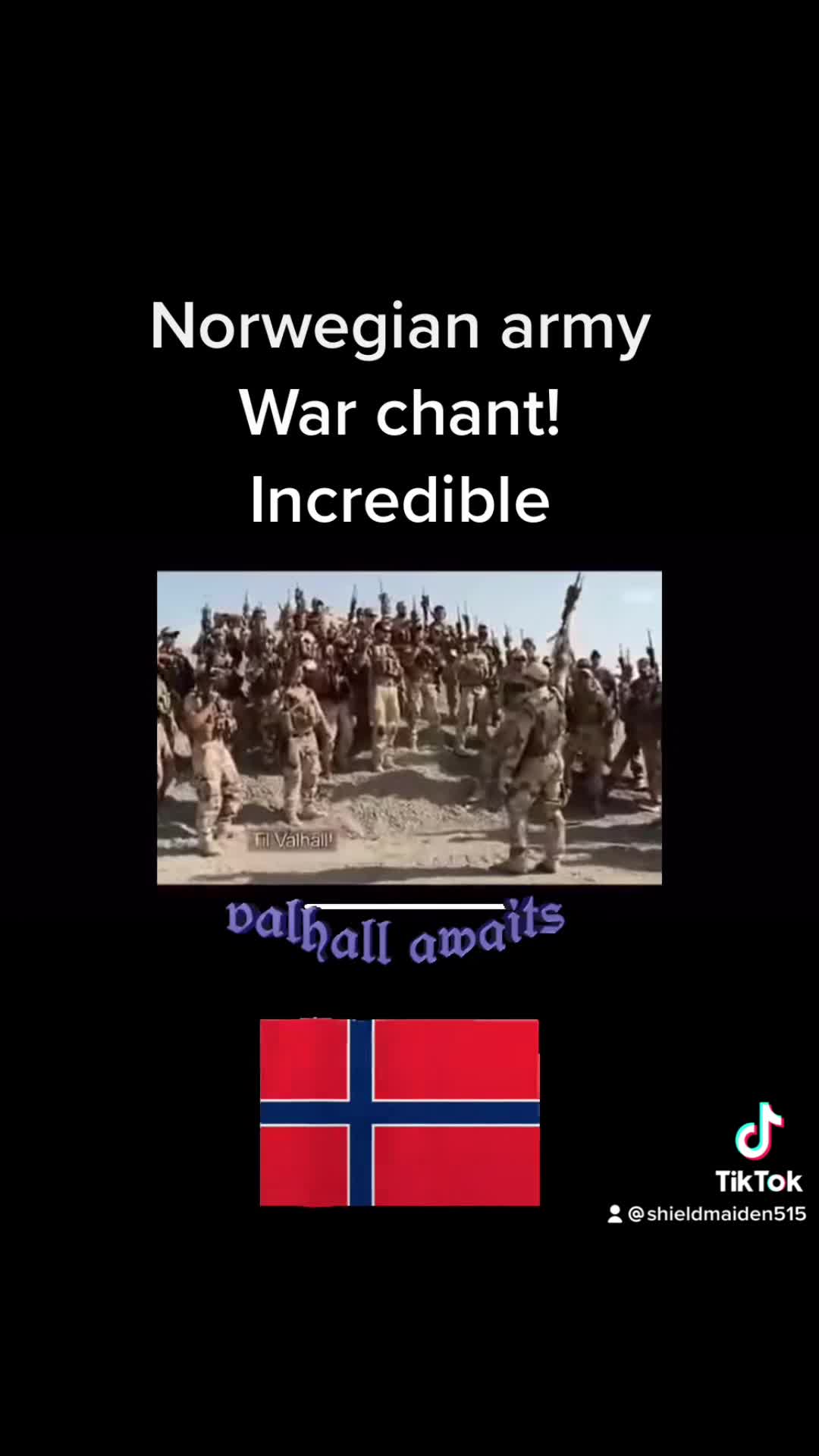 @Shieldmaiden515