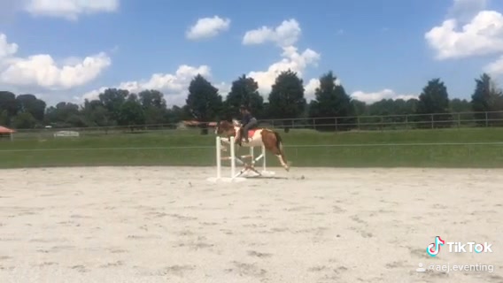 @1k??🦄💙