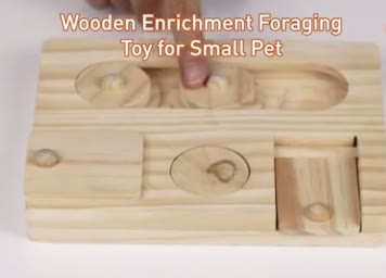 @pawsentials.store