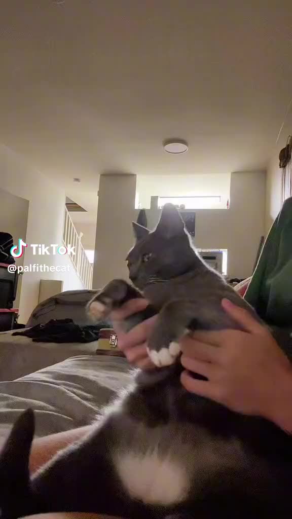 @Shaunamadre
