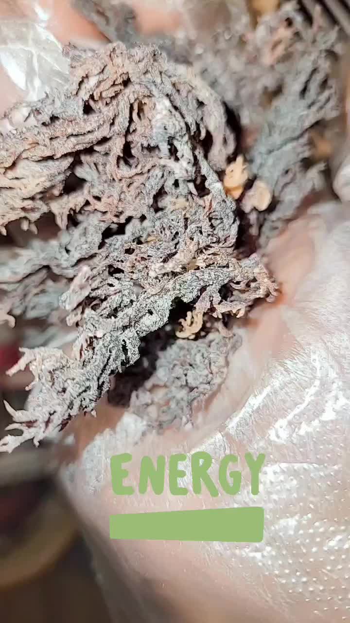 @Aloha.Seamoss