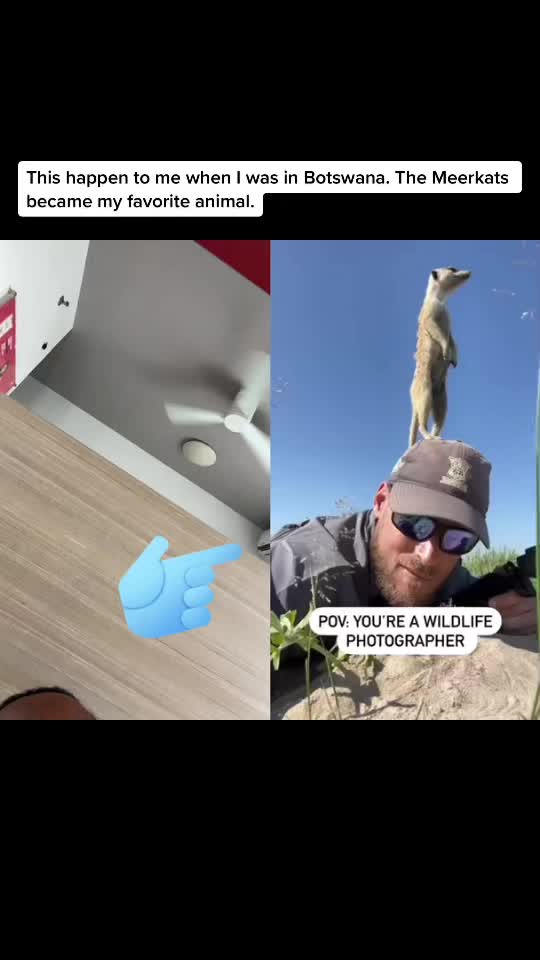 @GenX 72