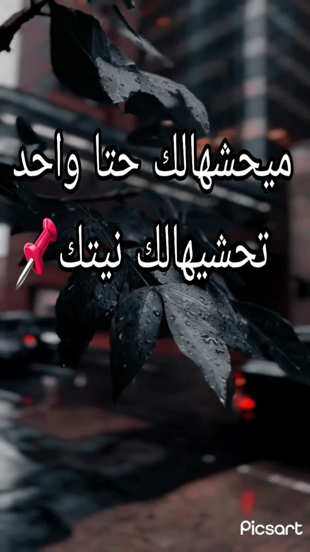 @🇩🇿🕊ستوريات🇩🇿🕊