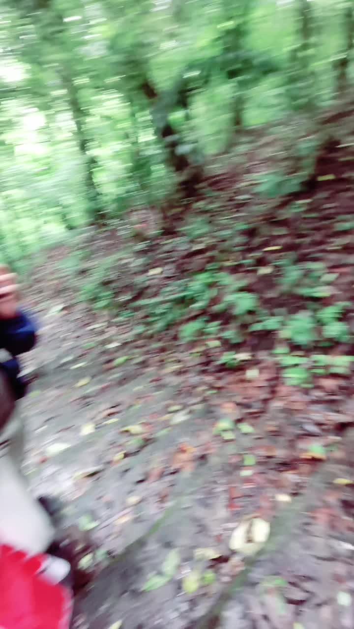 @Ketchup_Omelette