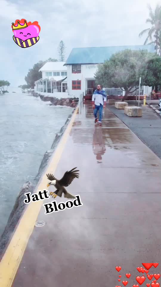 @Manna (Jatt)