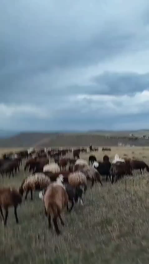 @fecri_yıldız