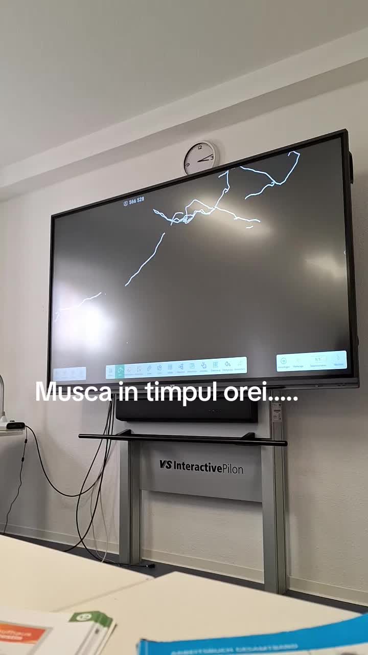 @Iulia