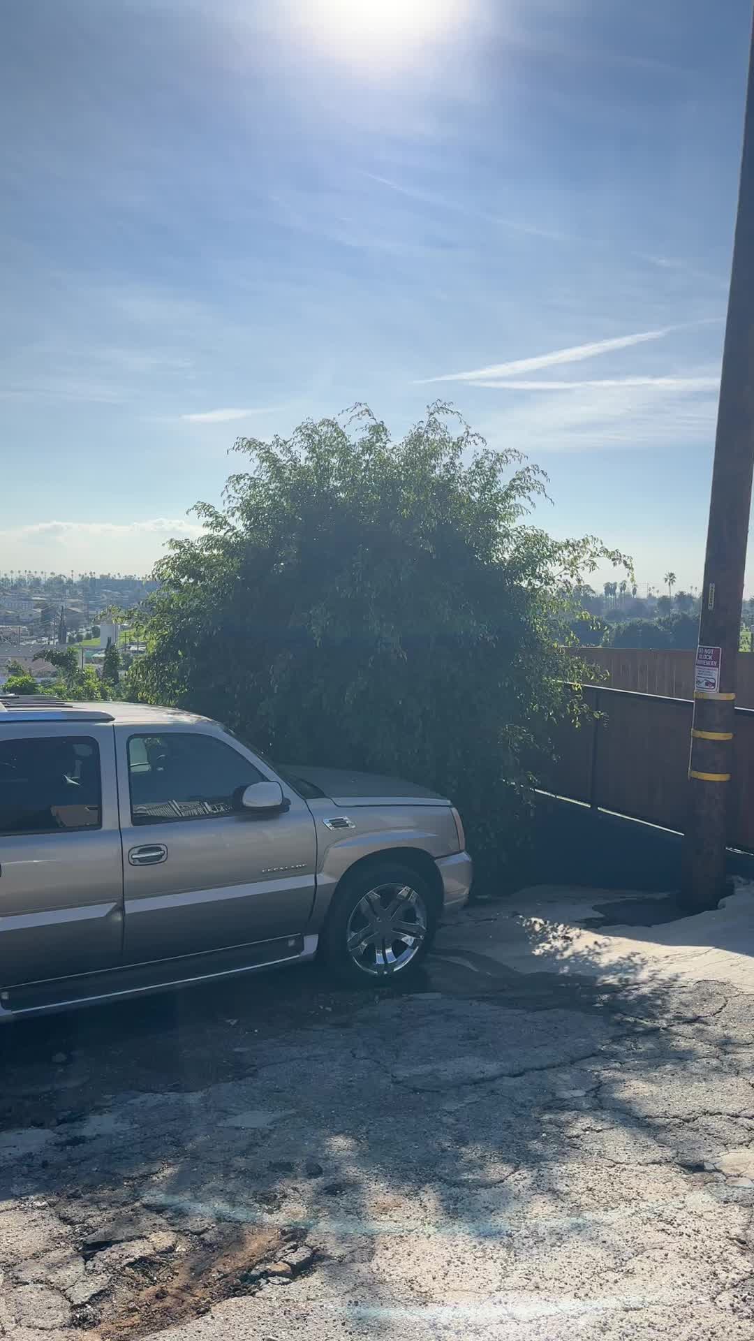 @LUIS007