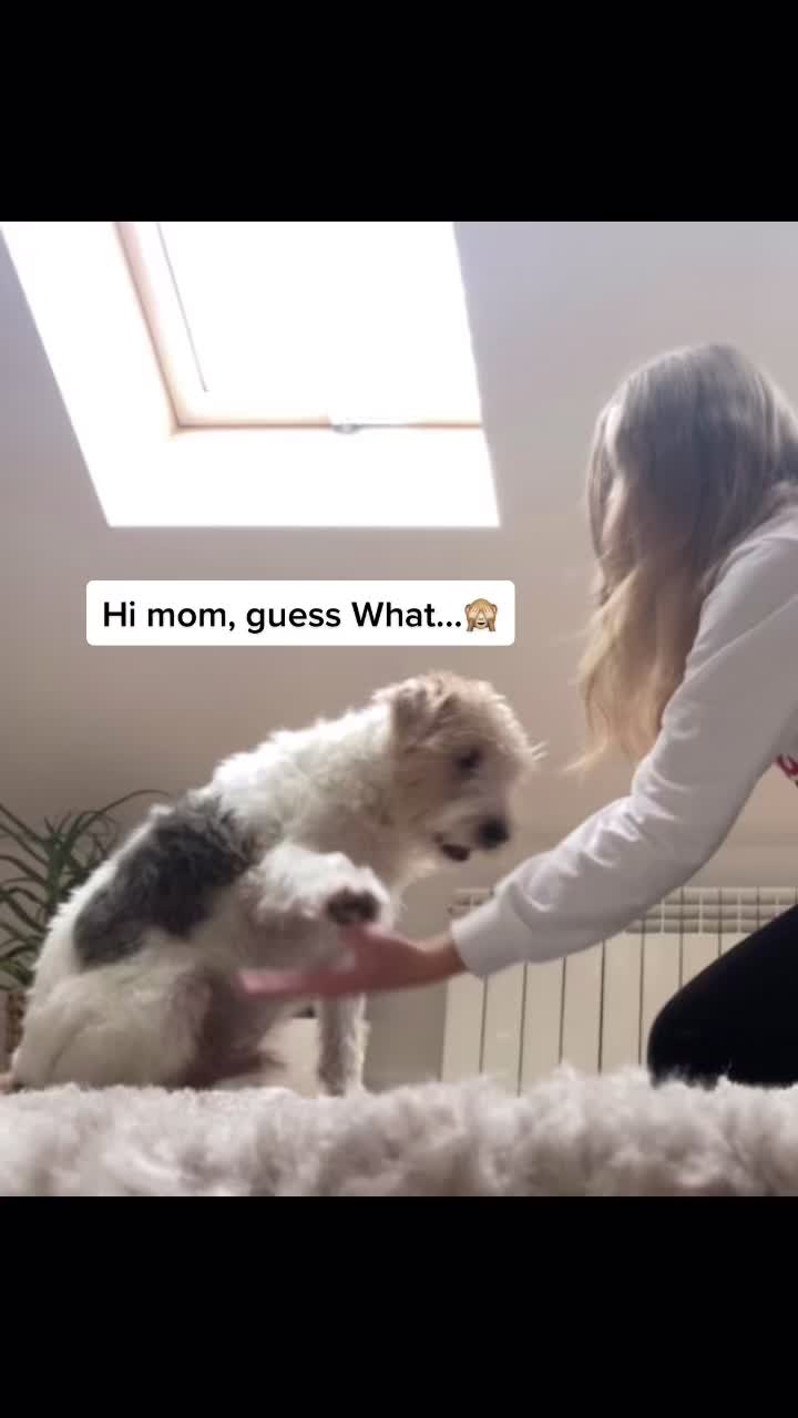 @𝐻𝑢𝑔𝑜