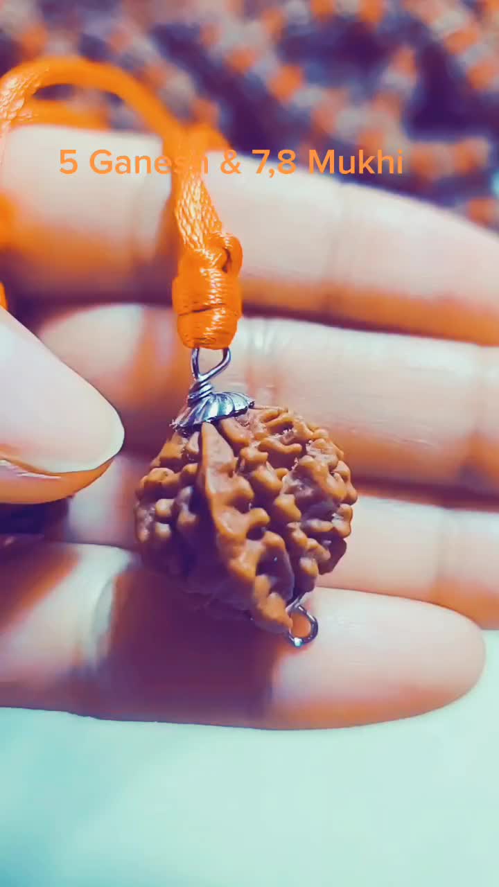 @nepal rudraksha