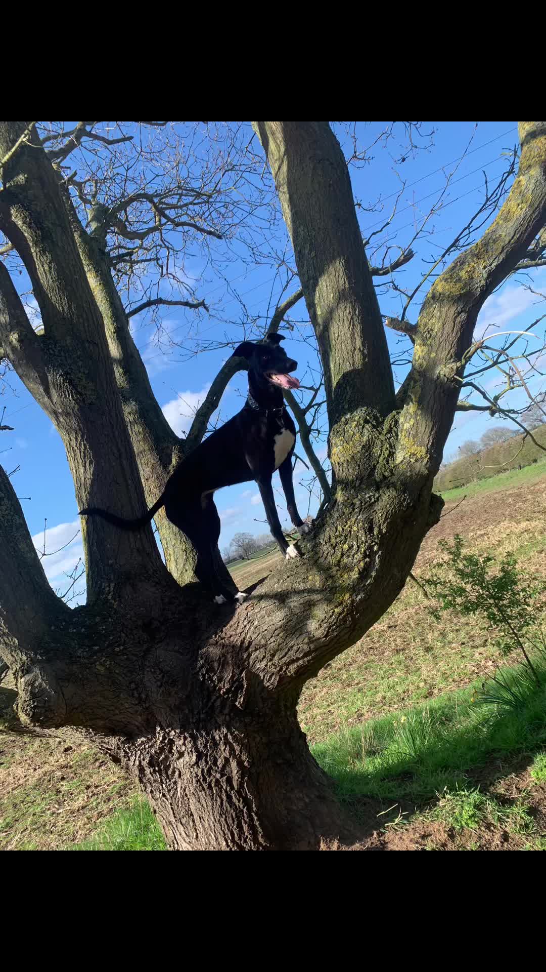 @BK Atkinson