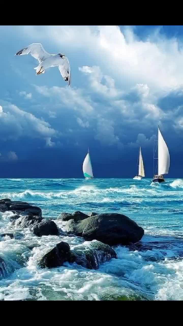 @user5215748179633