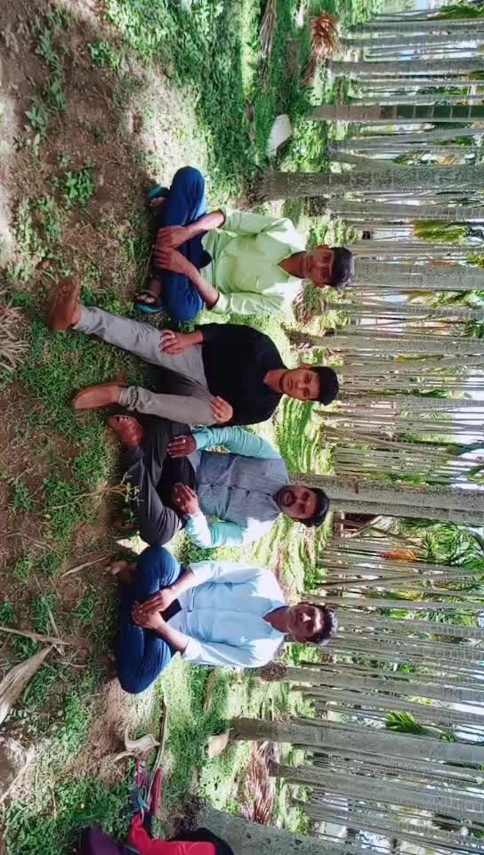 @AR sylu