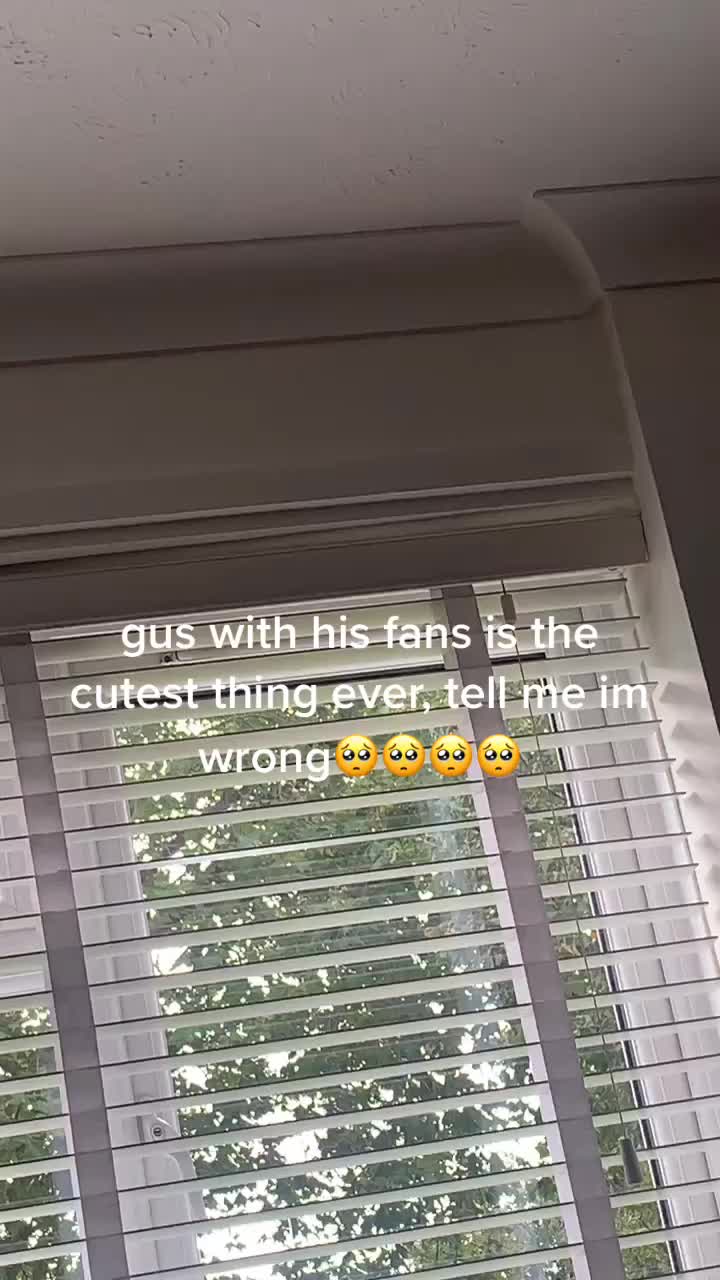 @🐣🖤