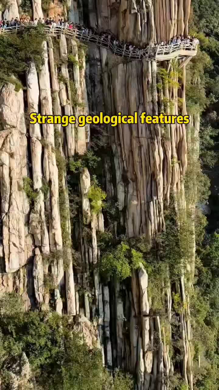 @Qmdsht999