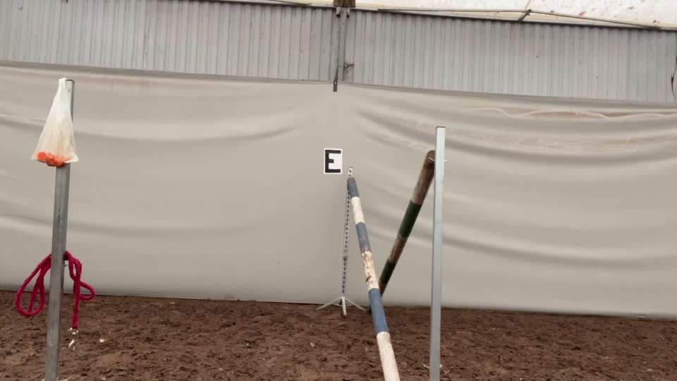 @Końska Grupa🐎