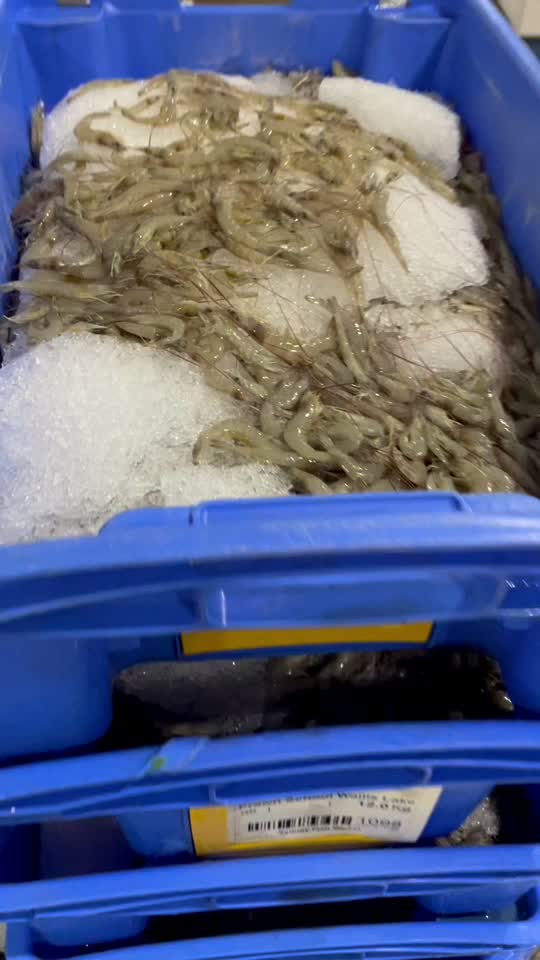 @ZAGSEAFOOD