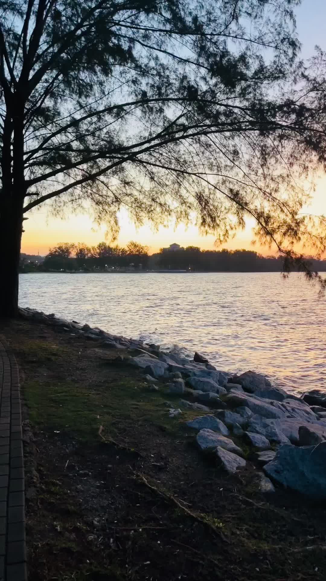 @V.THENMOLII