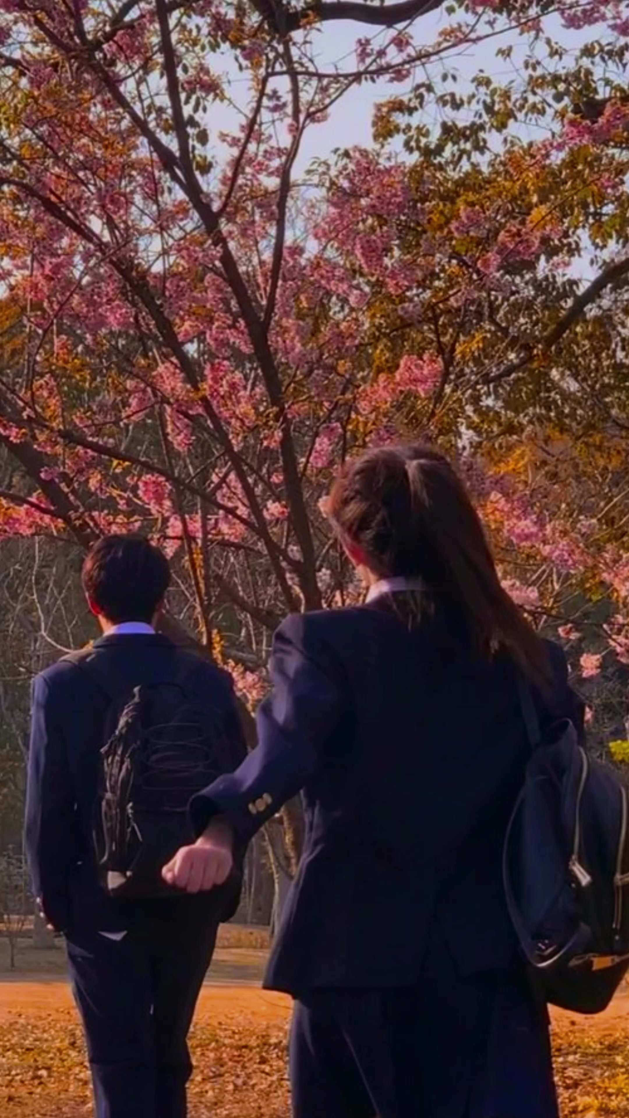 @숏송
