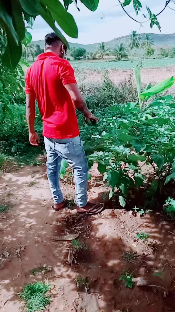 @Muttanna Lamani