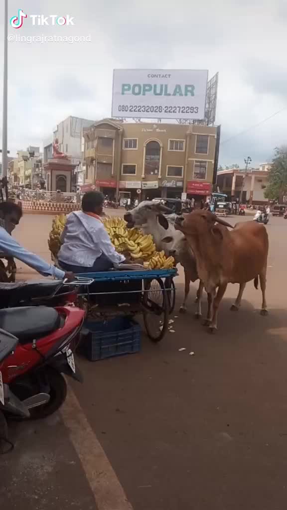 @Rithik kulkarni