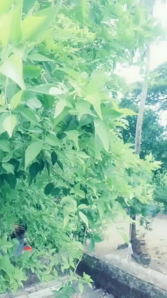 @Aru Arjun