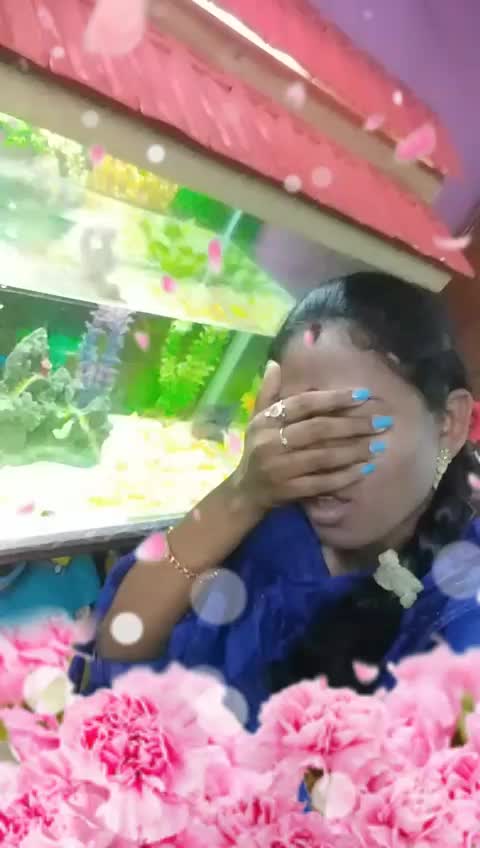 @devisamundisweri7